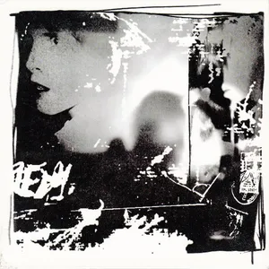 Amusement parks on fire